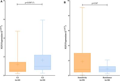 Role of IGF2 in the Study of Development and Evolution of Prostate Cancer